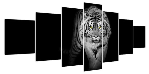 Černobílý obraz tygra (210x100 cm)