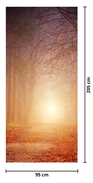 Fototapeta na dveře - Podzimní les v mlze (95x205cm)
