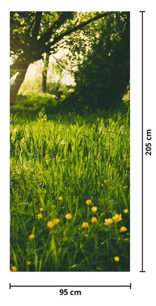 Fototapeta na dveře - Louka (95x205cm)