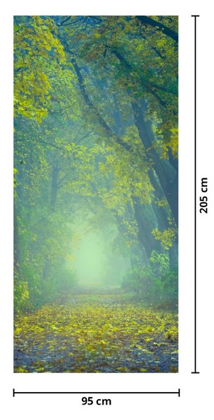 Fototapeta na dveře - Cesta lemovaná stromy (95x205cm)