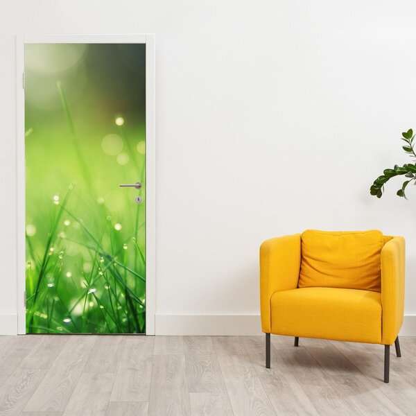 Fototapeta na dveře - Rosa na trávě (95x205cm)
