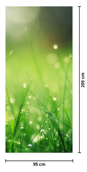 Fototapeta na dveře - Rosa na trávě (95x205cm)