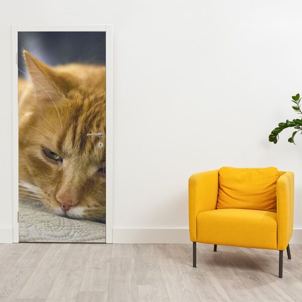 Fototapeta na dveře - Kočky (95x205cm)