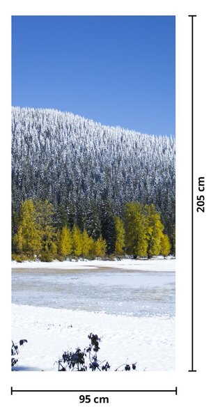 Fototapeta na dveře - Zasněžené hory v zimě (95x205cm)