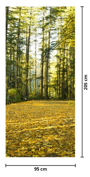 Fototapeta na dveře - Les na podzim (95x205cm)