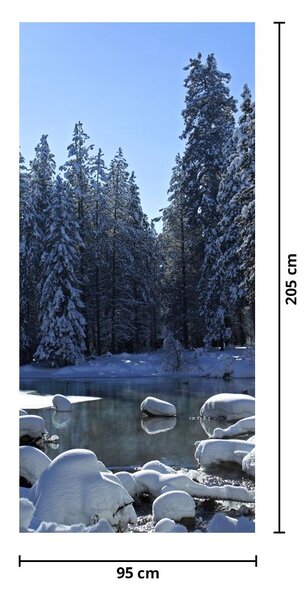 Fototapeta na dveře - Zasněžený les (95x205cm)