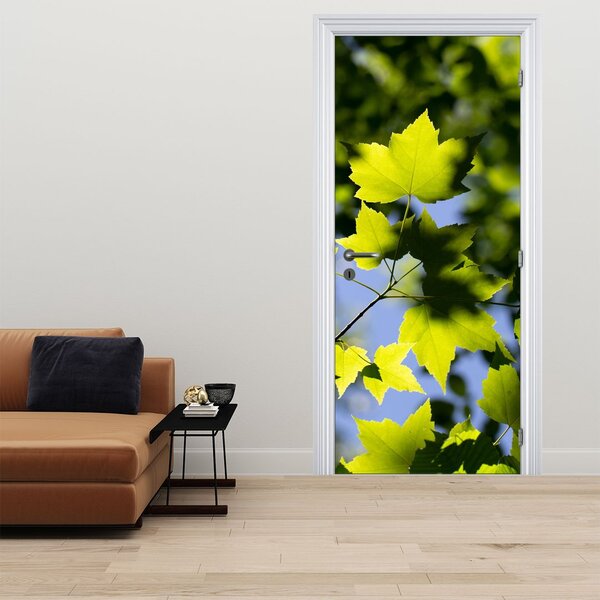 Fototapeta na dveře - Javorové listy (95x205cm)