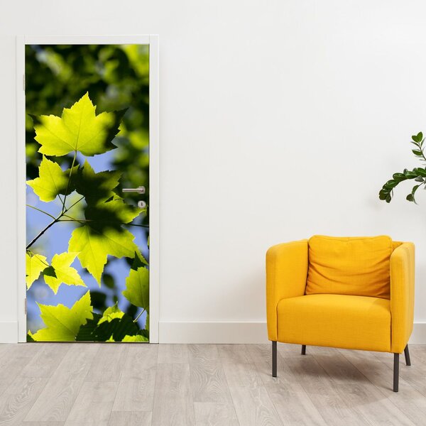 Fototapeta na dveře - Javorové listy (95x205cm)