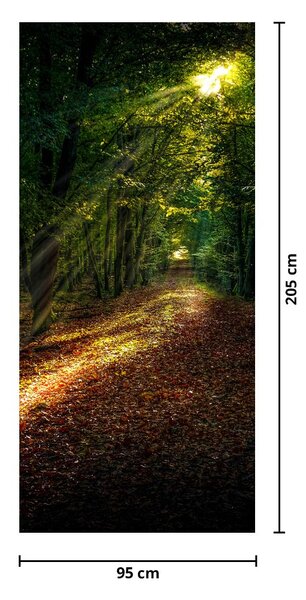 Fototapeta na dveře - Lesní cesta (95x205cm)