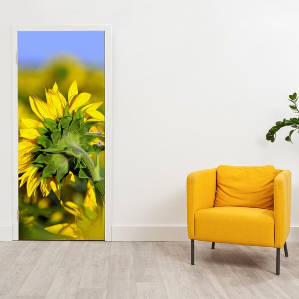 Fototapeta na dveře - Slunečnice (95x205cm)
