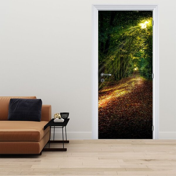 Fototapeta na dveře - Lesní cesta (95x205cm)