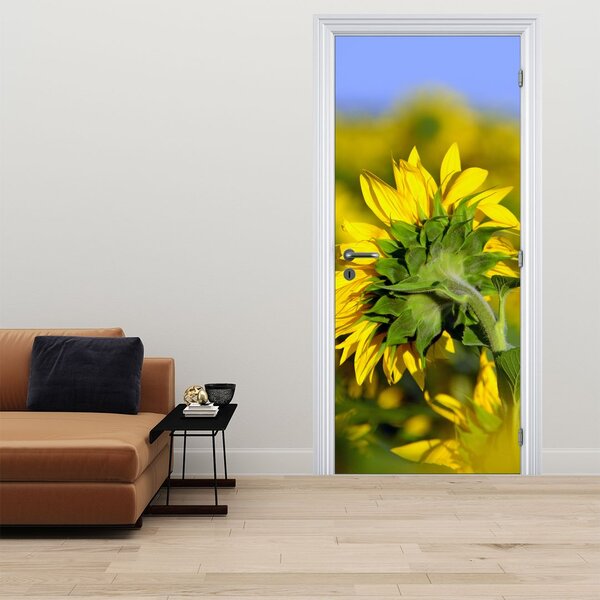 Fototapeta na dveře - Slunečnice (95x205cm)