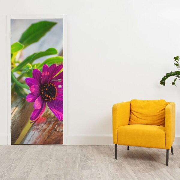 Fototapeta na dveře - Řezané květiny (95x205cm)