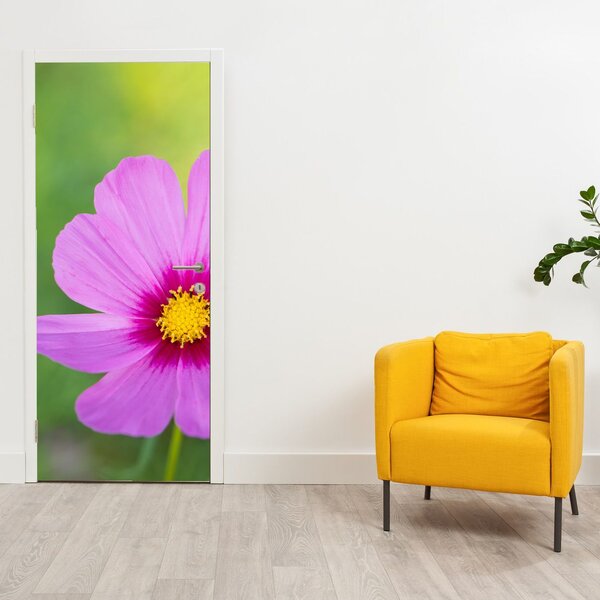 Fototapeta na dveře - Luční květina (95x205cm)