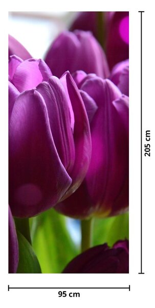 Fototapeta na dveře - Tulipány (95x205cm)