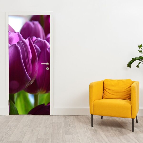 Fototapeta na dveře - Tulipány (95x205cm)