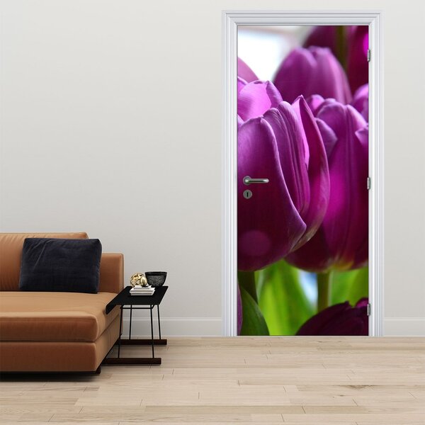 Fototapeta na dveře - Tulipány (95x205cm)
