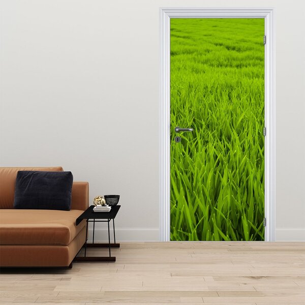 Fototapeta na dveře - Tráva (95x205cm)