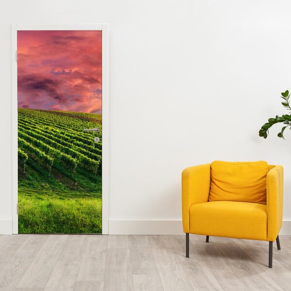 Fototapeta na dveře - Vinohrad s barevným nebem (95x205cm)