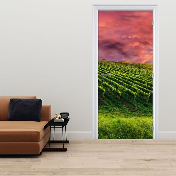 Fototapeta na dveře - Vinohrad s barevným nebem (95x205cm)