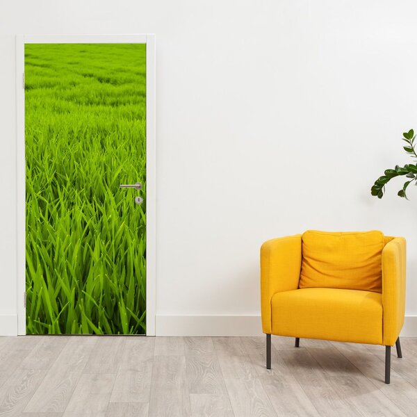 Fototapeta na dveře - Tráva (95x205cm)
