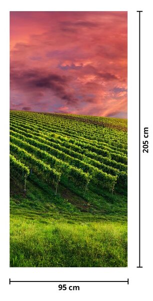 Fototapeta na dveře - Vinohrad s barevným nebem (95x205cm)
