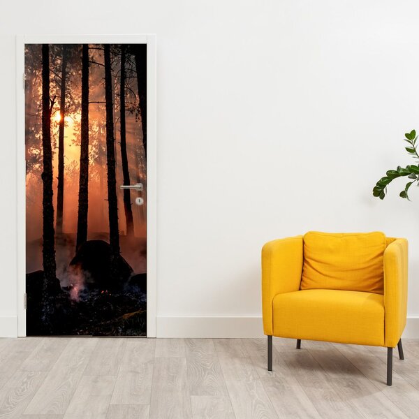 Fototapeta na dveře - Temný les (95x205cm)