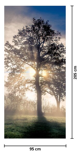 Fototapeta na dveře - Strom v mlze (95x205cm)