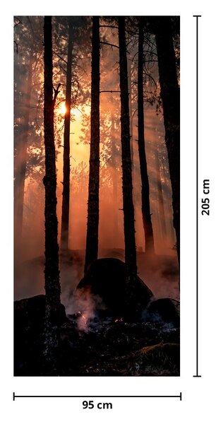 Fototapeta na dveře - Temný les (95x205cm)