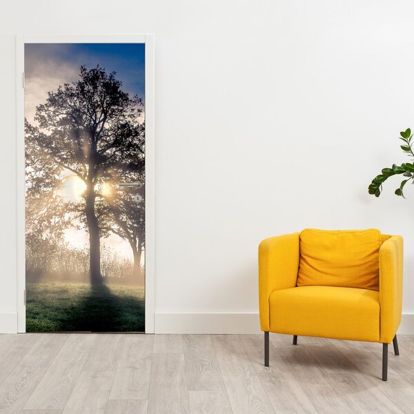 Fototapeta na dveře - Strom v mlze (95x205cm)