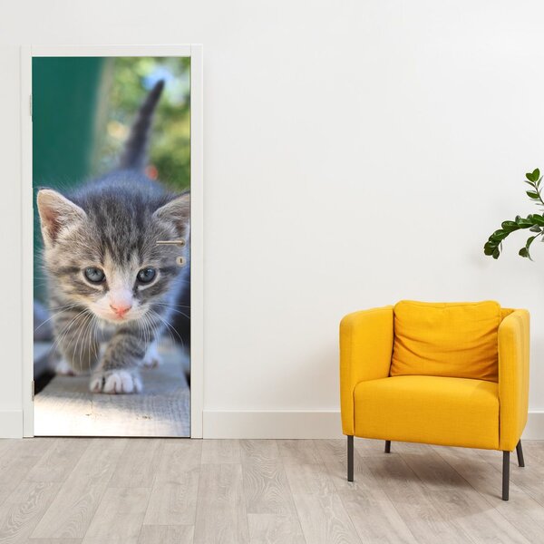 Fototapeta na dveře - Koťátko (95x205cm)