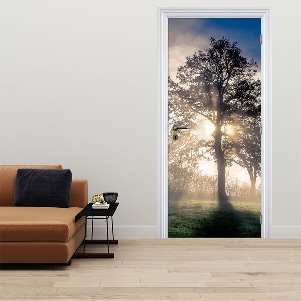 Fototapeta na dveře - Strom v mlze (95x205cm)
