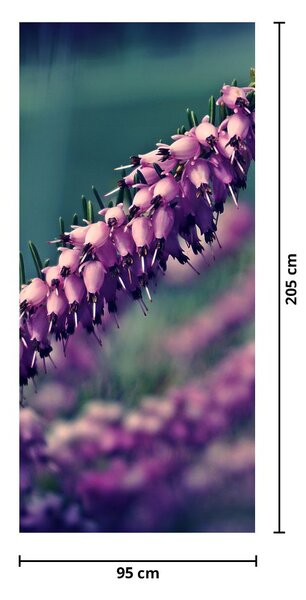 Fototapeta na dveře - Levandule (95x205cm)