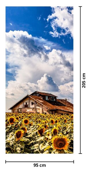 Fototapeta na dveře - Slunečnicové pole (95x205cm)