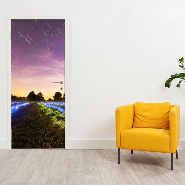 Fototapeta na dveře - Barevné pole (95x205cm)