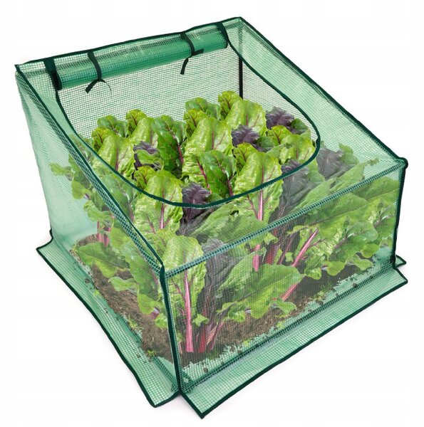 Ochranný kryt na rostliny GARDEN zelený