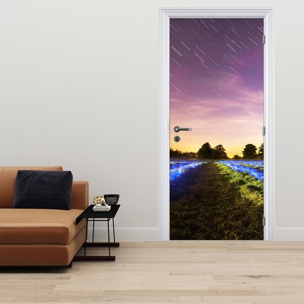 Fototapeta na dveře - Barevné pole (95x205cm)