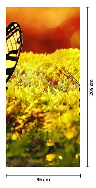 Fototapeta na dveře - Motýli (95x205cm)