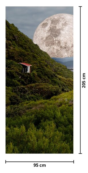 Fototapeta na dveře - Krajina s měsícem (95x205cm)