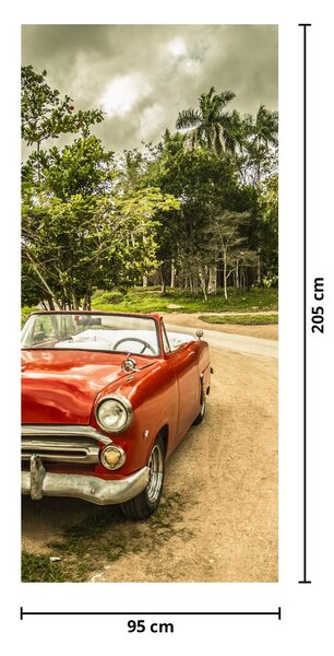 Fototapeta na dveře - Auto veterán v přírodě (95x205cm)