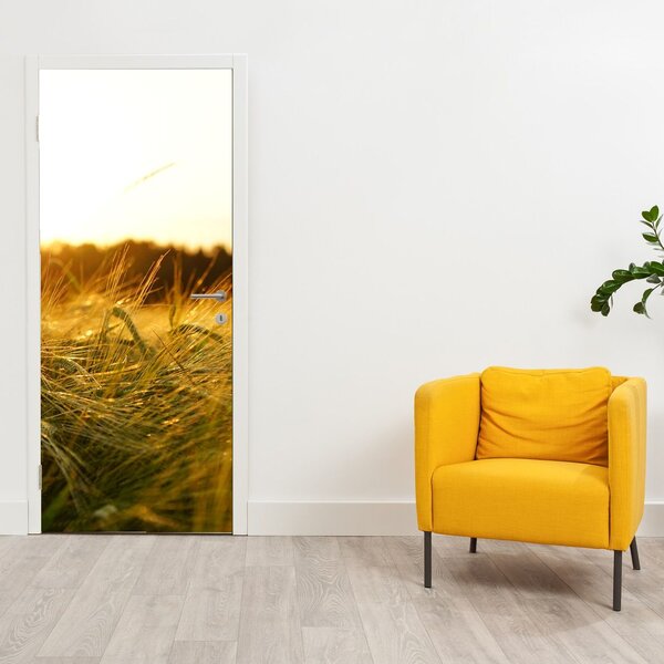 Fototapeta na dveře - Orosená tráva (95x205cm)