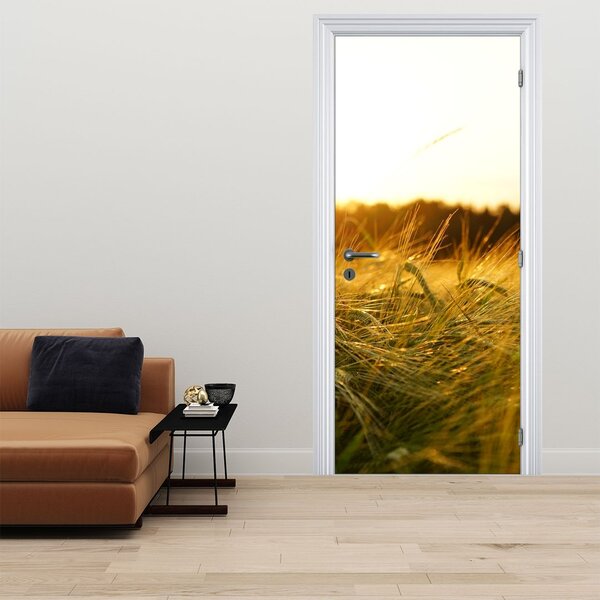 Fototapeta na dveře - Orosená tráva (95x205cm)