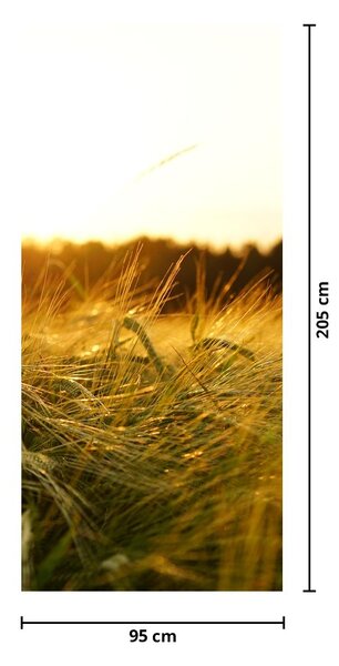 Fototapeta na dveře - Orosená tráva (95x205cm)
