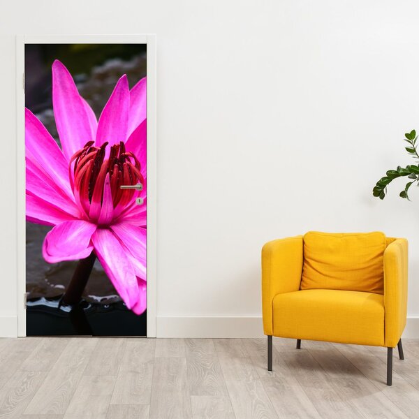 Fototapeta na dveře - Růžový květ (95x205cm)