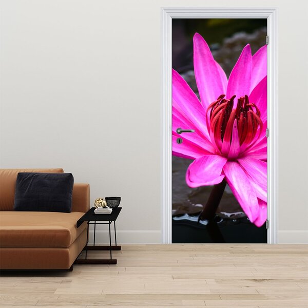 Fototapeta na dveře - Růžový květ (95x205cm)