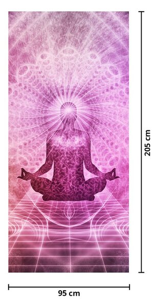 Fototapeta na dveře - Meditace (95x205cm)
