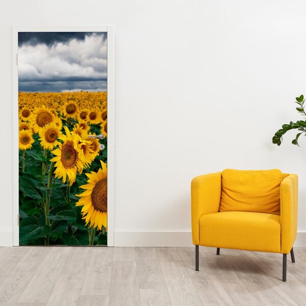 Fototapeta na dveře - Slunečnicové pole (95x205cm)