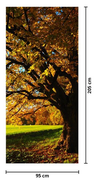 Fototapeta na dveře - Podzim (95x205cm)