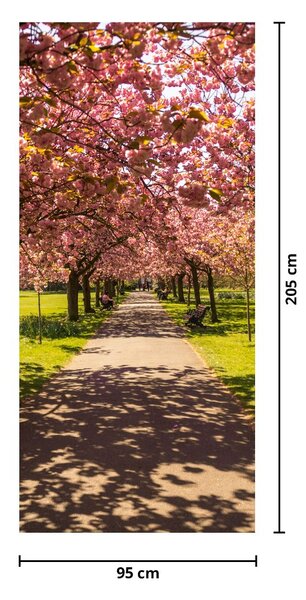 Fototapeta na dveře - Sad třešní (95x205cm)