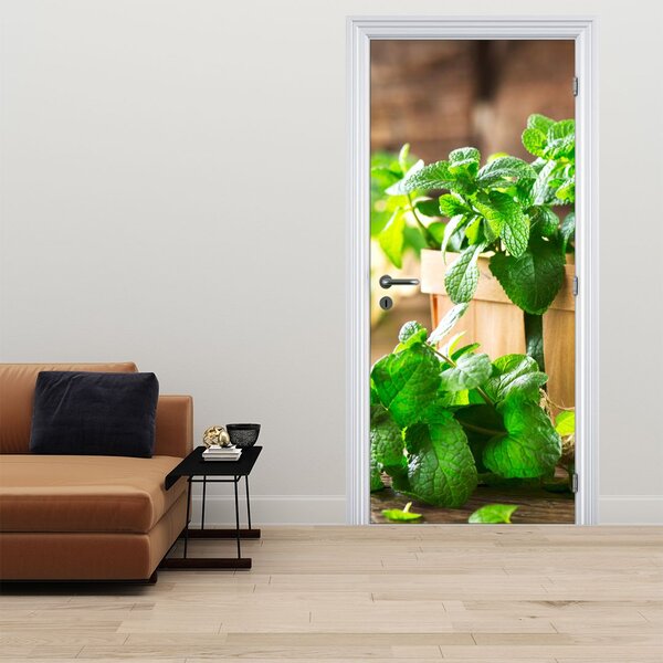 Fototapeta na dveře - Čerstvá máta (95x205cm)